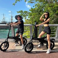 Vespa, Scooter & Moped Tours