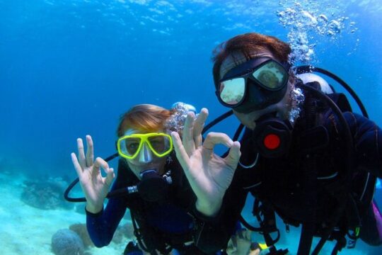 Scuba Certified Diving Immersion at Maroma Beach (1 or 2 tanks)