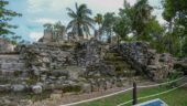Great guide and different Cancun