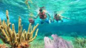 snorkel tour and tacos