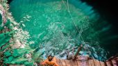 3 Beautiful Cenotes, Small Lunch and Fire Show