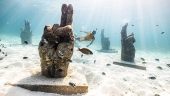 Best in snorkeling crew Cancun