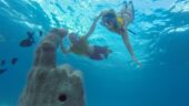Great snorkeling experience 