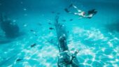 Fun snorkel/island time