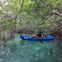 Boat Tours