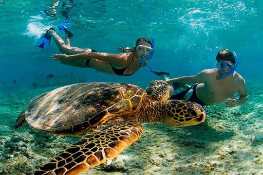 Amaizing Tour Tulums + Akumal Turtles from Cancún