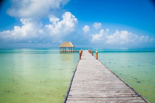 Holbox Magic Island Tour + Round Transportation From Cancun & Playa Del Carmen