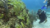 Best excursion in Cancun!