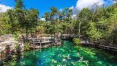 Love the cenotes most!