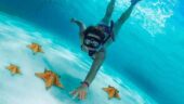 Cielo and Palancar reef!