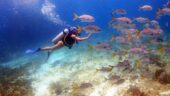 Best diving experience