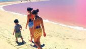 Crocodiles and pink lake
