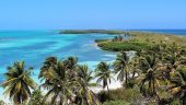 You need to see Contoy Island!