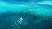 Beautiful Caribbean views with plenty of sea turtles swimming in crystal clear waters