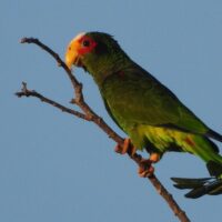 Photography Tours