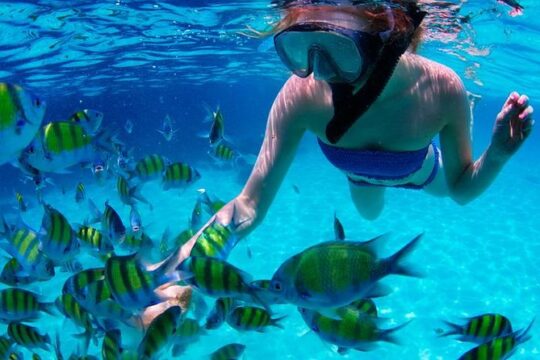 Ride, Swim & Fly Day Trip in Cancun with Transportation