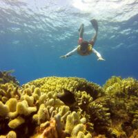 Volunteer Tours