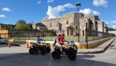 Wonderful private tours for 3 senior women