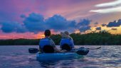 Great Birding Tour