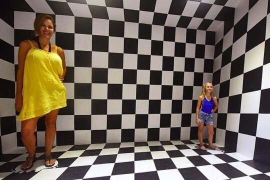 Tour All Inclusive Park Xenses with Transportation from Cancún & Riviera Maya