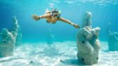 Sea turtle snorkelling trip