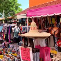 Fashion Shows & Tours
