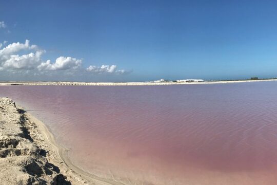 LAS COLORADAS & RIO LAGARTOS from Riviera Maya and Cancun (Private)