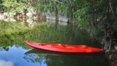 Exploring the cenotes and so much more!