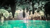 Loved this place