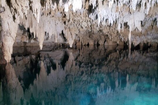 Half Day Private Experience with Turtles and Cenote
