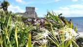 Tulum and Yul Ku lagoon snorkeling