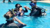 Expert Diving Instruction