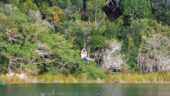 Jungle Tour Punta laguna