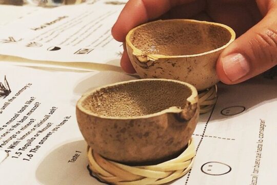 Traditional Mezcal Tasting Private Experience Cancun/PDC/Tulum