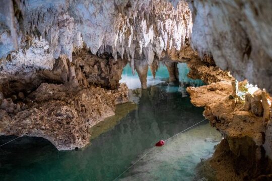 Half Day Cenotes Experience