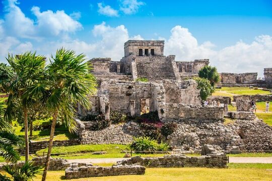 4x1 Tulum, Coba, Cenote Kuxtal & 5th Avenue from Riviera Maya