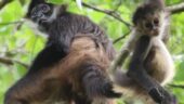 Amazing Wildlife & Authentic Experience – Highly Recommended!