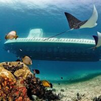 Submarine Tours