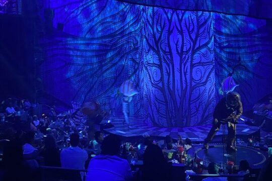Cirque du Soleil JOYÀ in Vidanta Riviera Maya