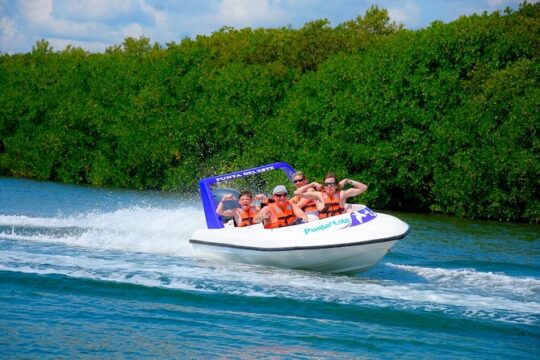 Speed of the Mayan Jungle