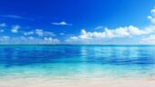 paradise