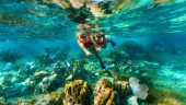 Amazing reef and cenote experience