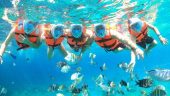 Paradise